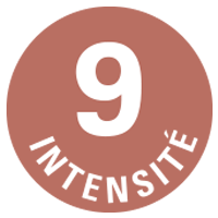 intensité 9 café ethiquable 